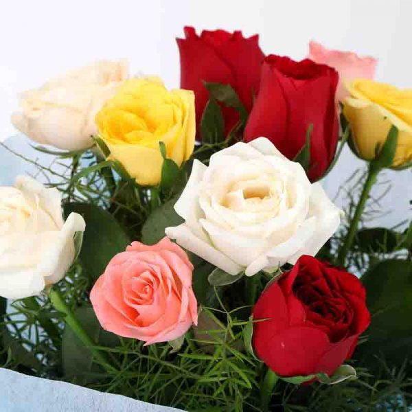 12 mixed colored roses with green leaves